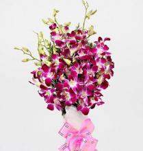 Orchid Love