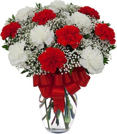 Red and White carnations vase product938